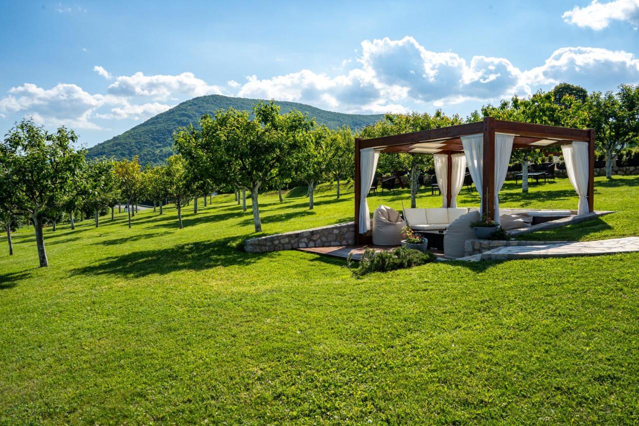 Hotel Degenija 4*